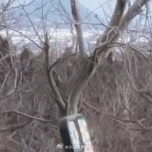 晚安心语 心若向阳，便是晴天那些没说出口的晚安，最后都变成了星星✨——在无人知晓