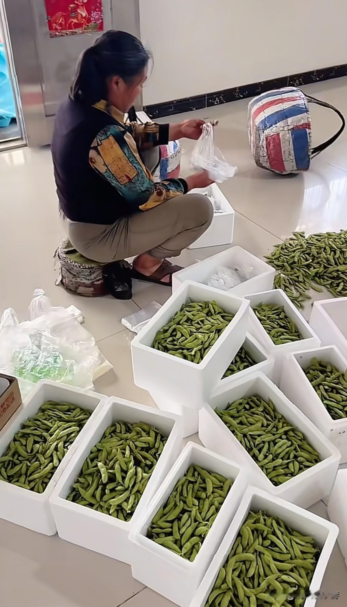 自己一个人在家做电商，今天2000多单，一单利润只有2.8元，我还算良心商家吧。