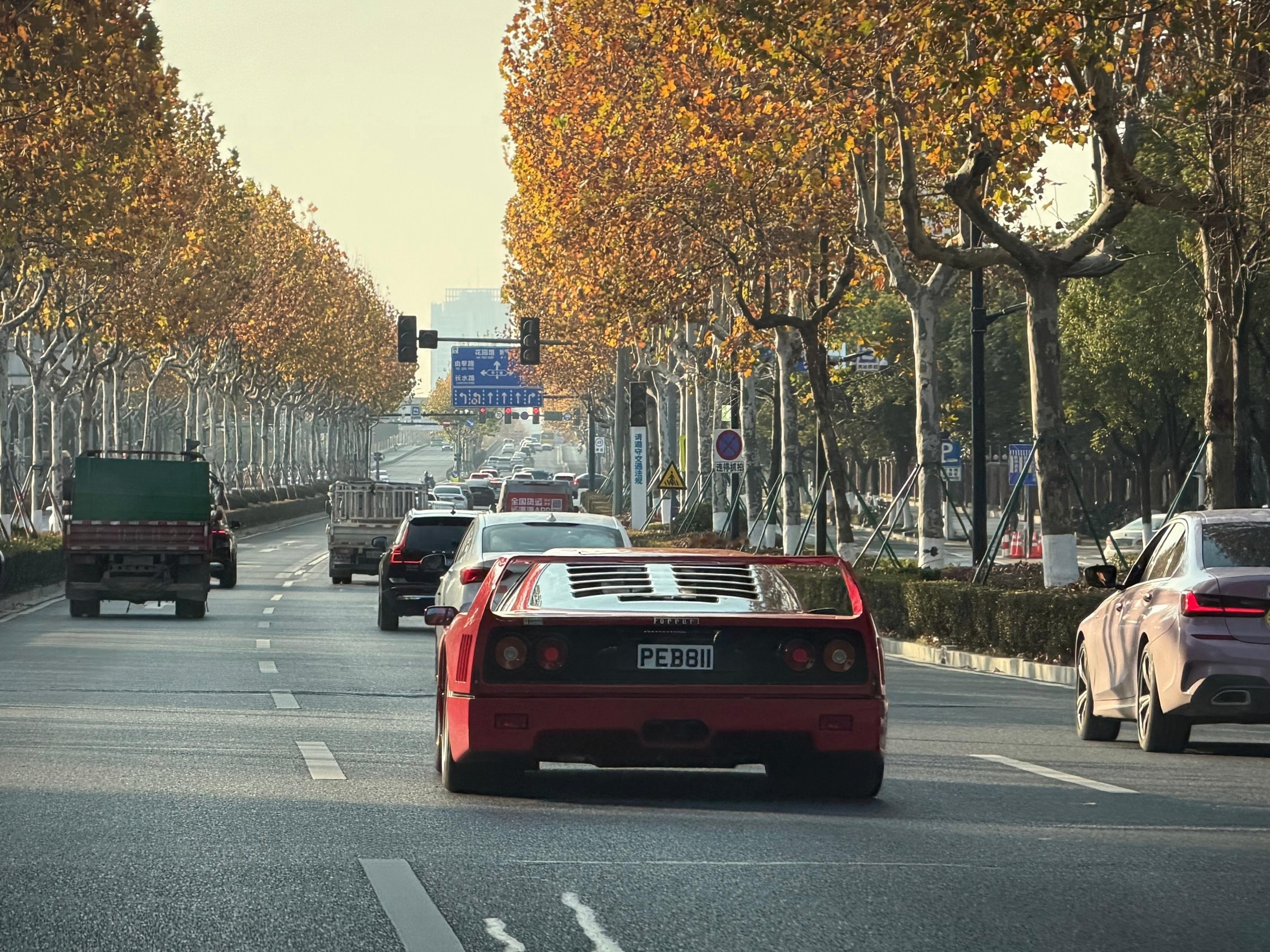 梦幻的场景，遗憾我今天没赶上