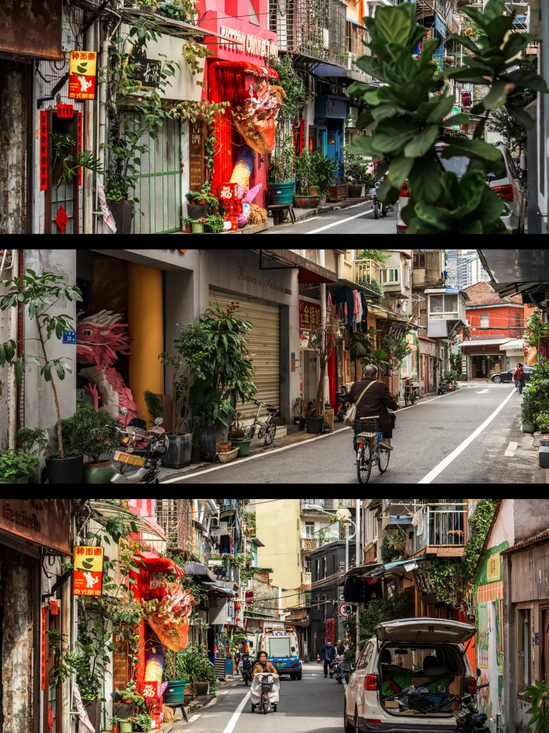 厦门拍照|初春漫步·打翻缤纷街巷的糖罐