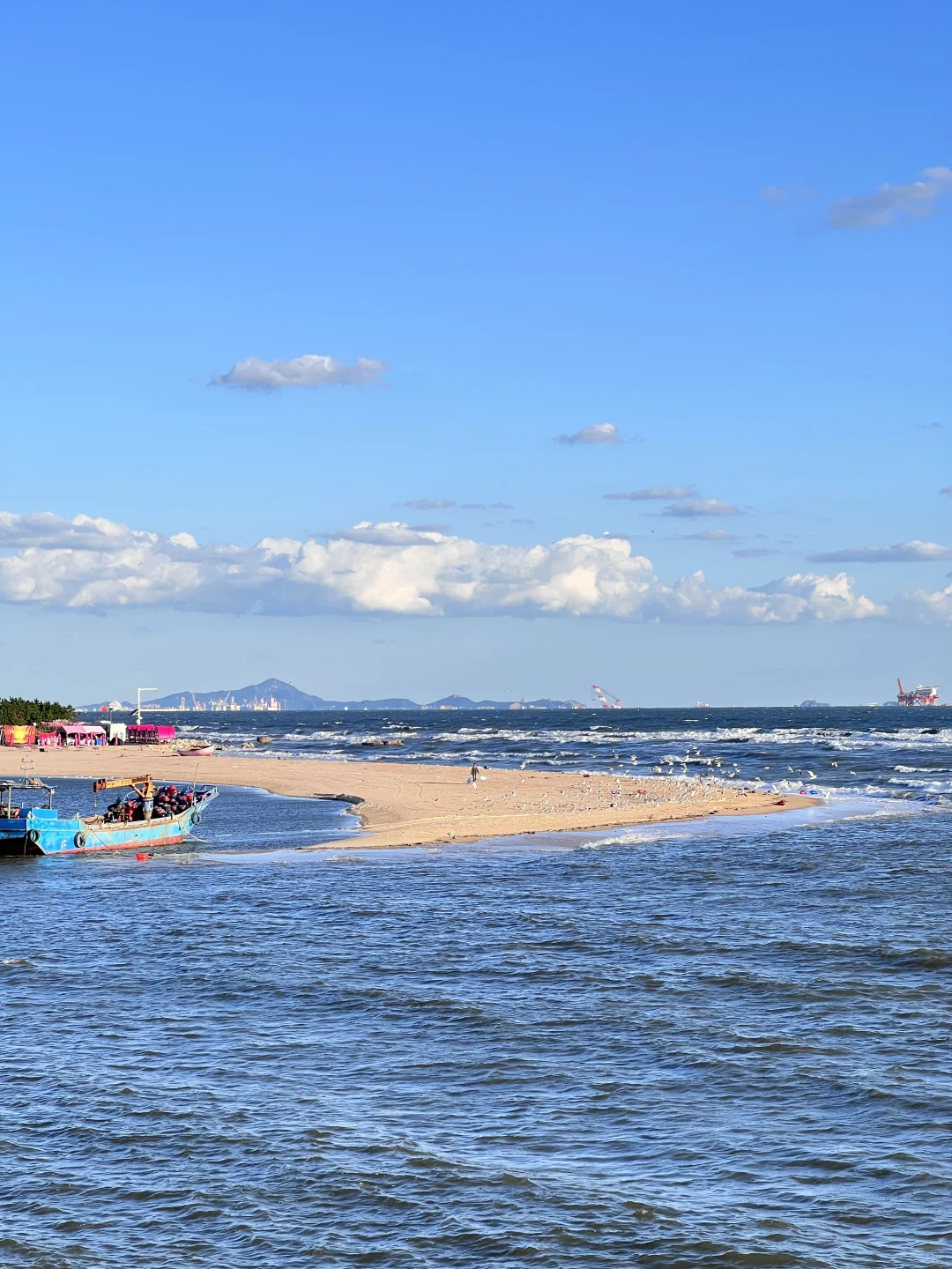 今日养马岛｜限时冬日的氛围感十足