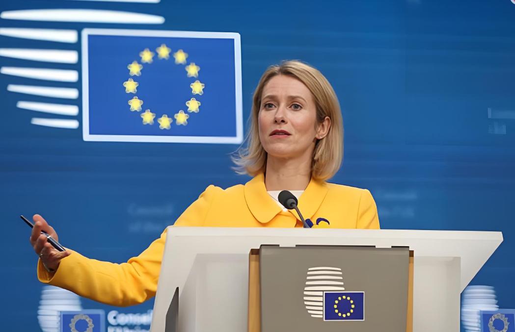 近期最敢说的政客非欧盟外长卡拉斯莫属了，一句接地气的神比喻，直接把战争的真相说透