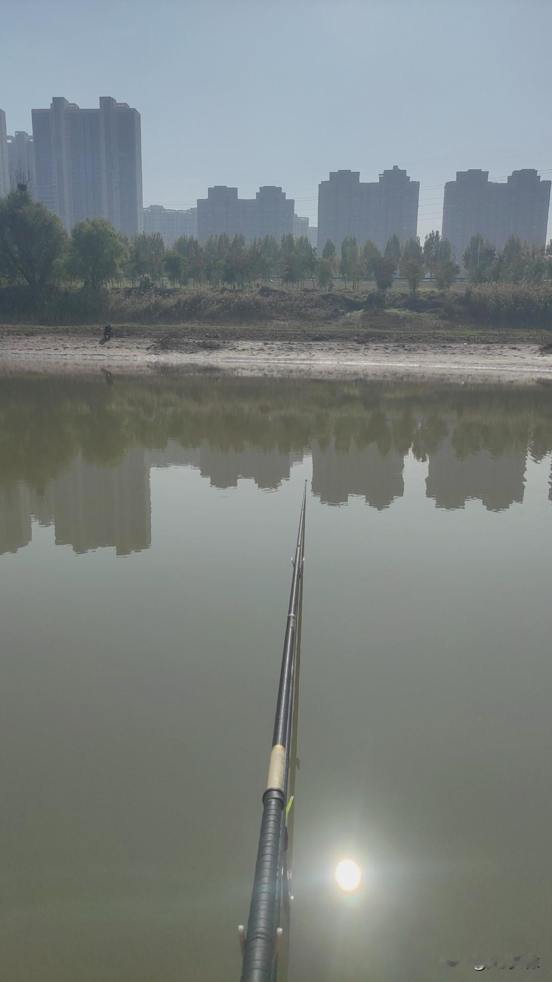 钓了几天真心是不想再钓鲫鱼了，二两以下的小麻将太多了，斤鲫什么的好像只有在晚上才