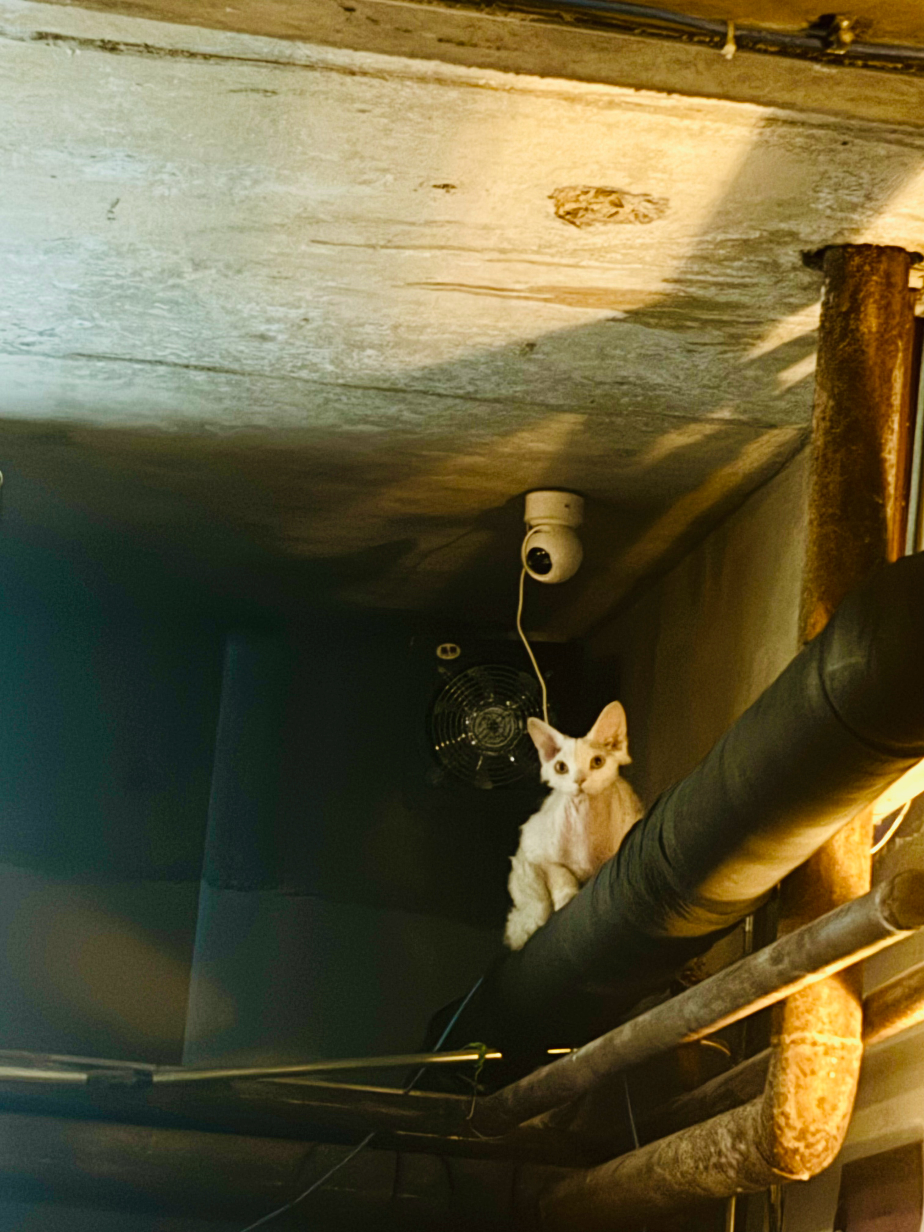 啊朋友再见👋 佳木斯·鸾鸟书店