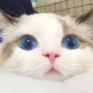 淡波热说军事