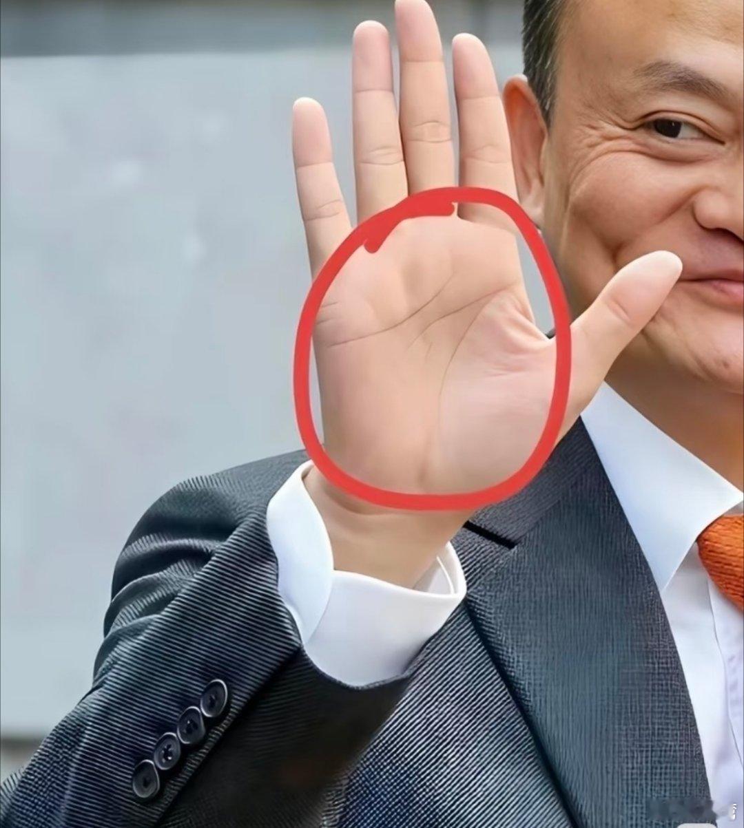 所以说这个手相如何 