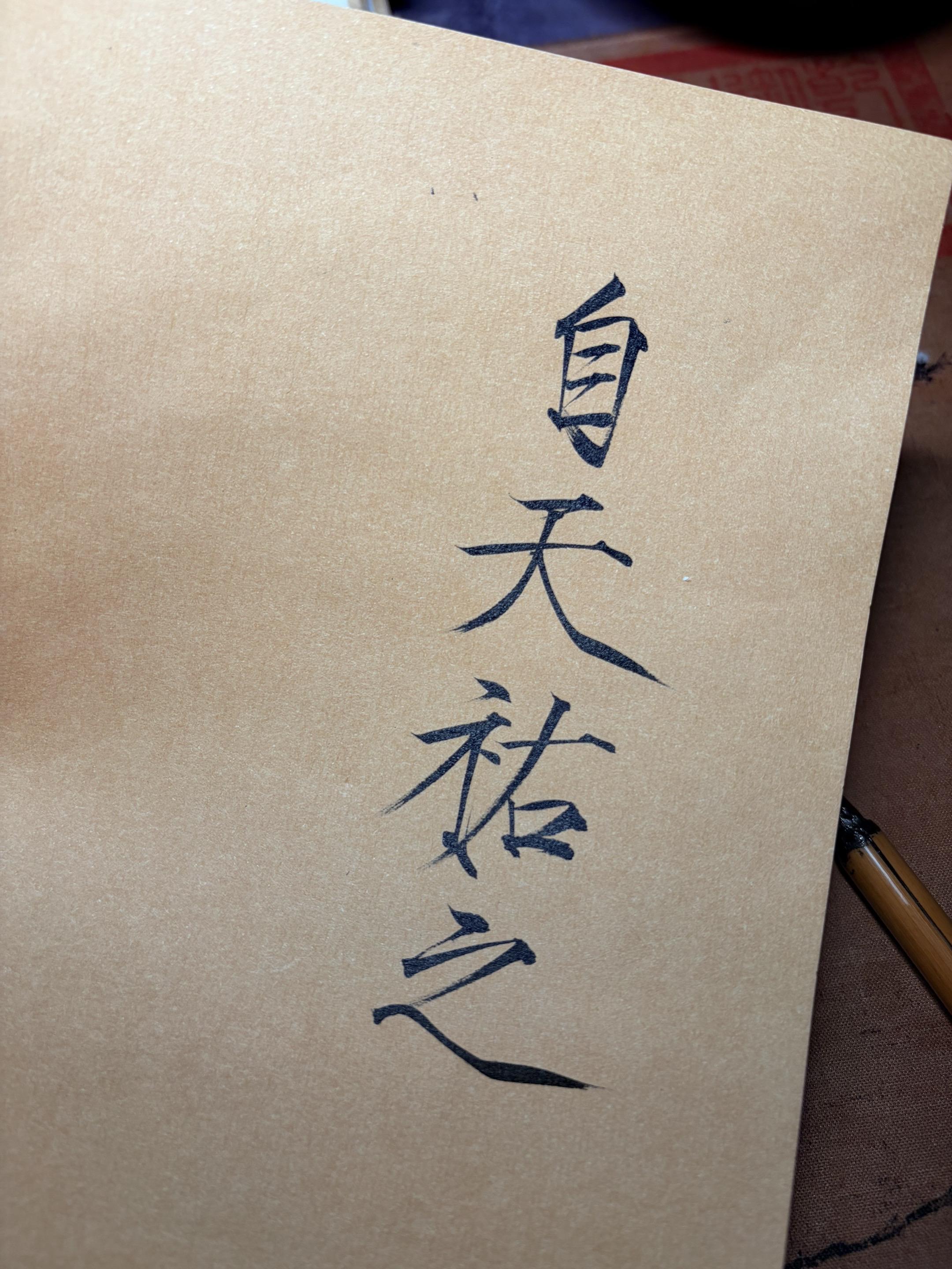 自天佑之，吉无不利