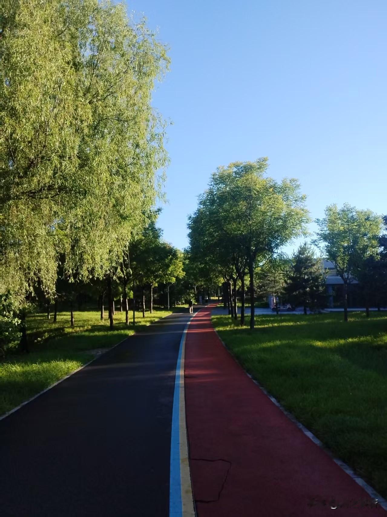 今早天空湛蓝，出门跑步，发现了新的跑道，风景更好，有花有树有河流，体验得相当好。