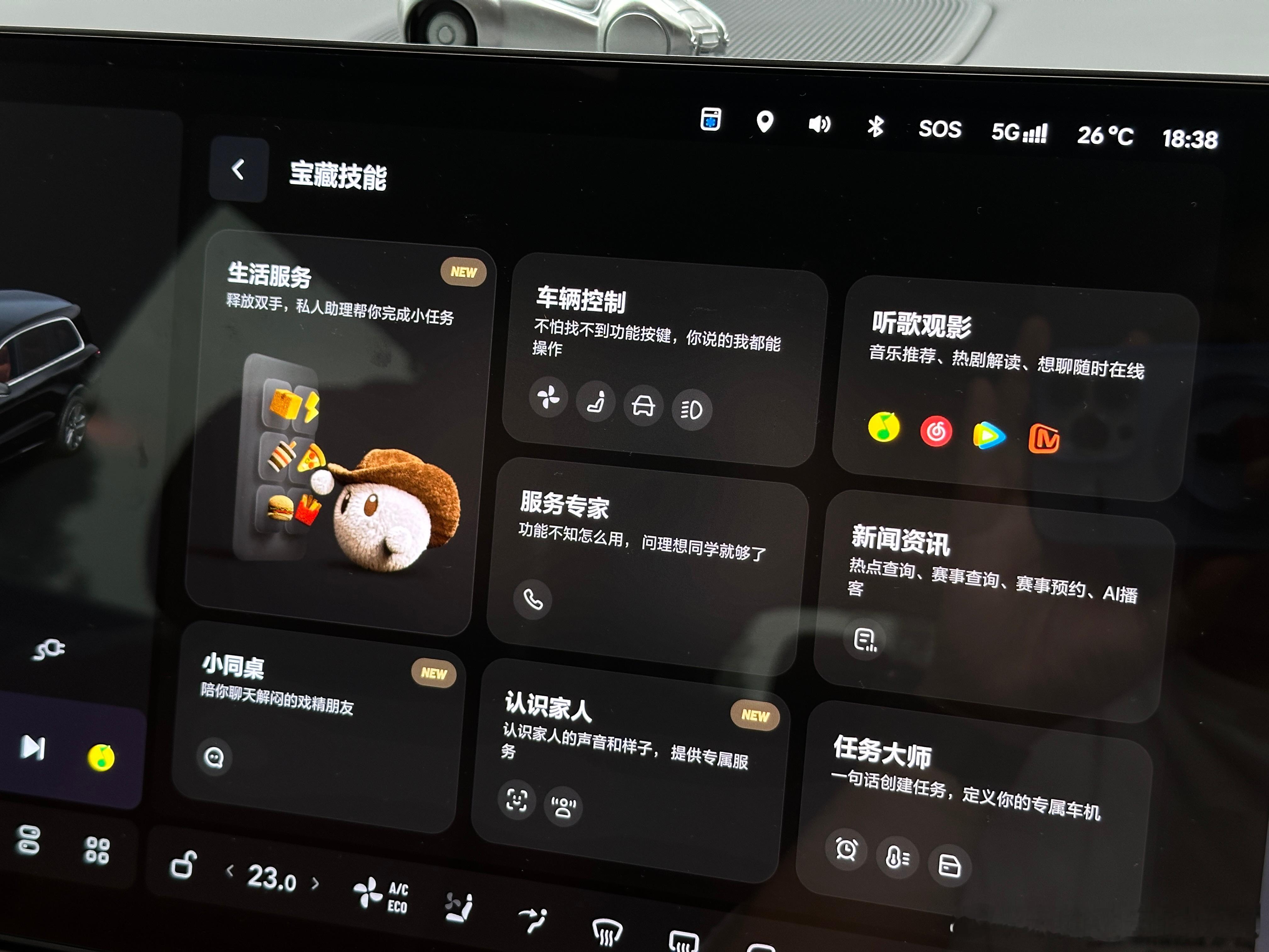 理想同学已经变成毛绒小球了，真的好可爱呀[爱你][爱你][爱你]理想同学 ​​​