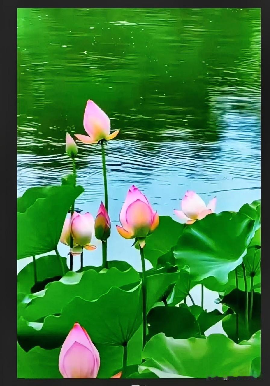 今年夏天确实意外地凉快，和去年同期比简直是天壤之别。去年热得恨不得天天泡在空调房