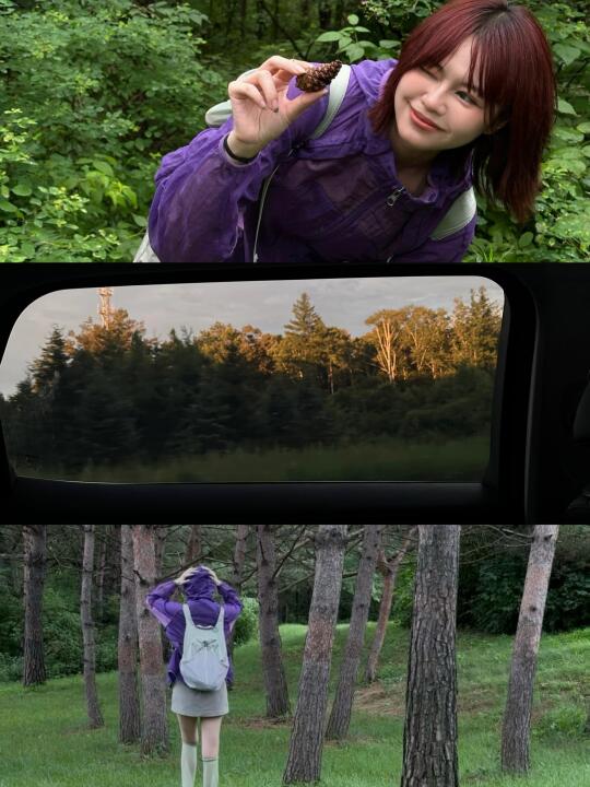 夏天去东北山里挂了个号🌲