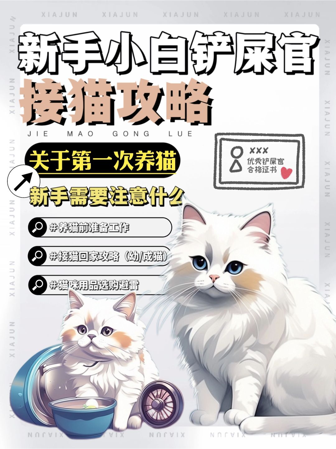 事关第一次养猫❗你不知道的接猫规则📖