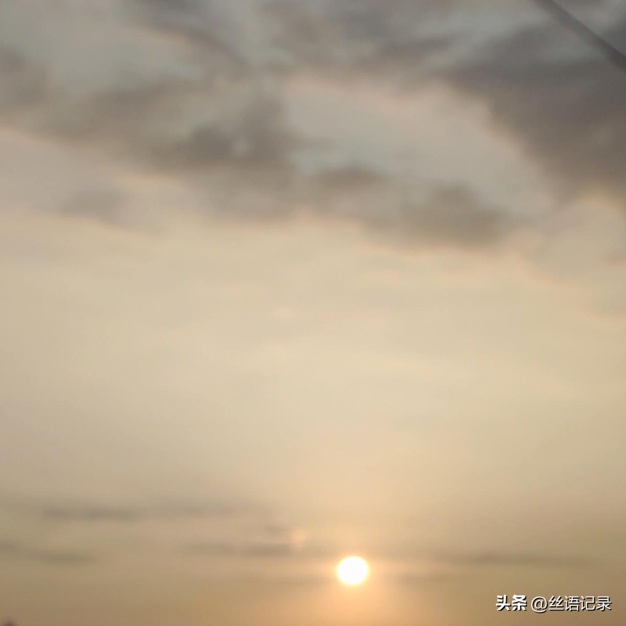 今天早上
无风
树叶不动
路边花草
也不动
太阳已经出来了丝语记录