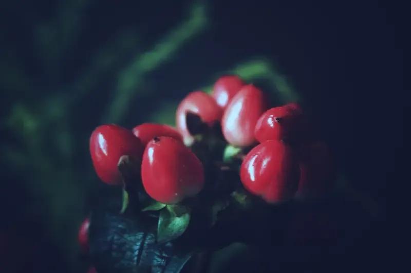 出上：春风有意花含笑，
对下：夏日情长果称心。