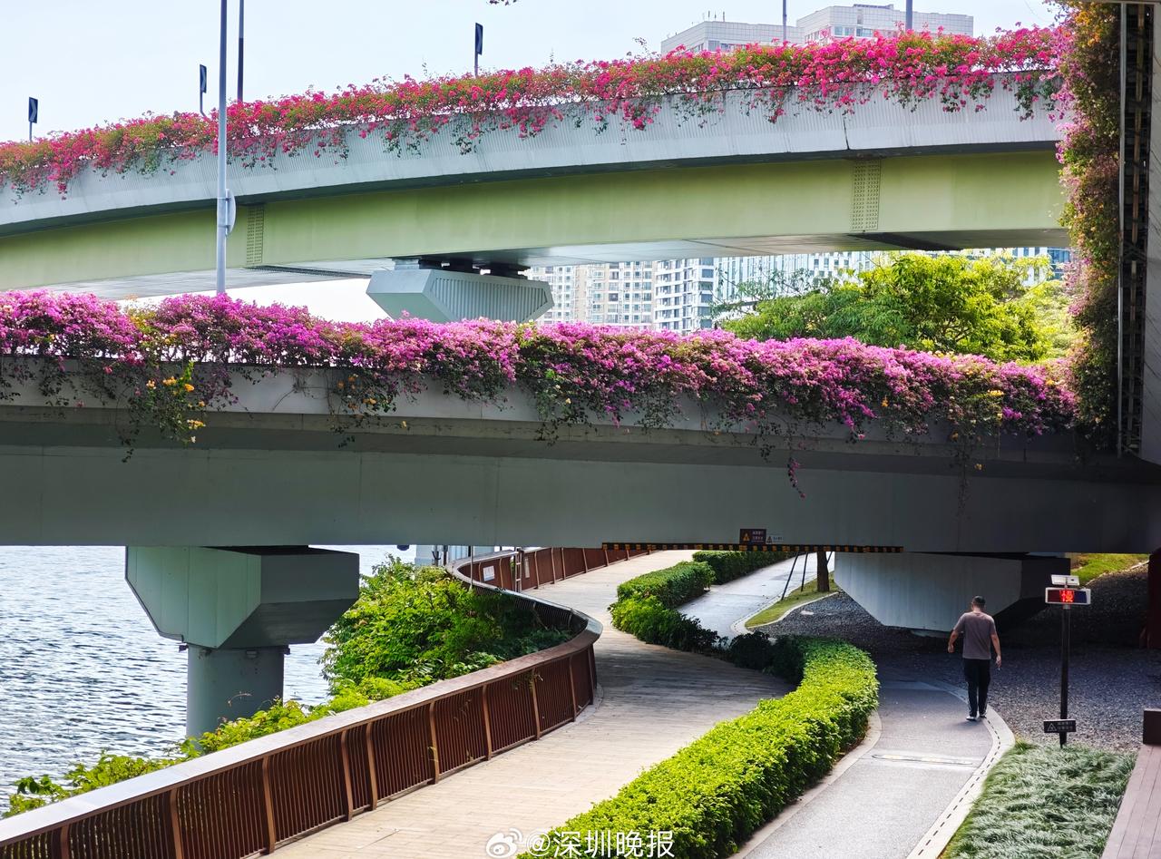 被网友调侃的“美育KPI”是什么意思呢？“美育”又称美感教育，它反映出的，是一座