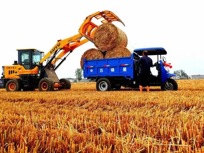 2026年8月3日，江苏东台经济开发区挂出了一则竞价公告。

拿出来卖的不是粮食