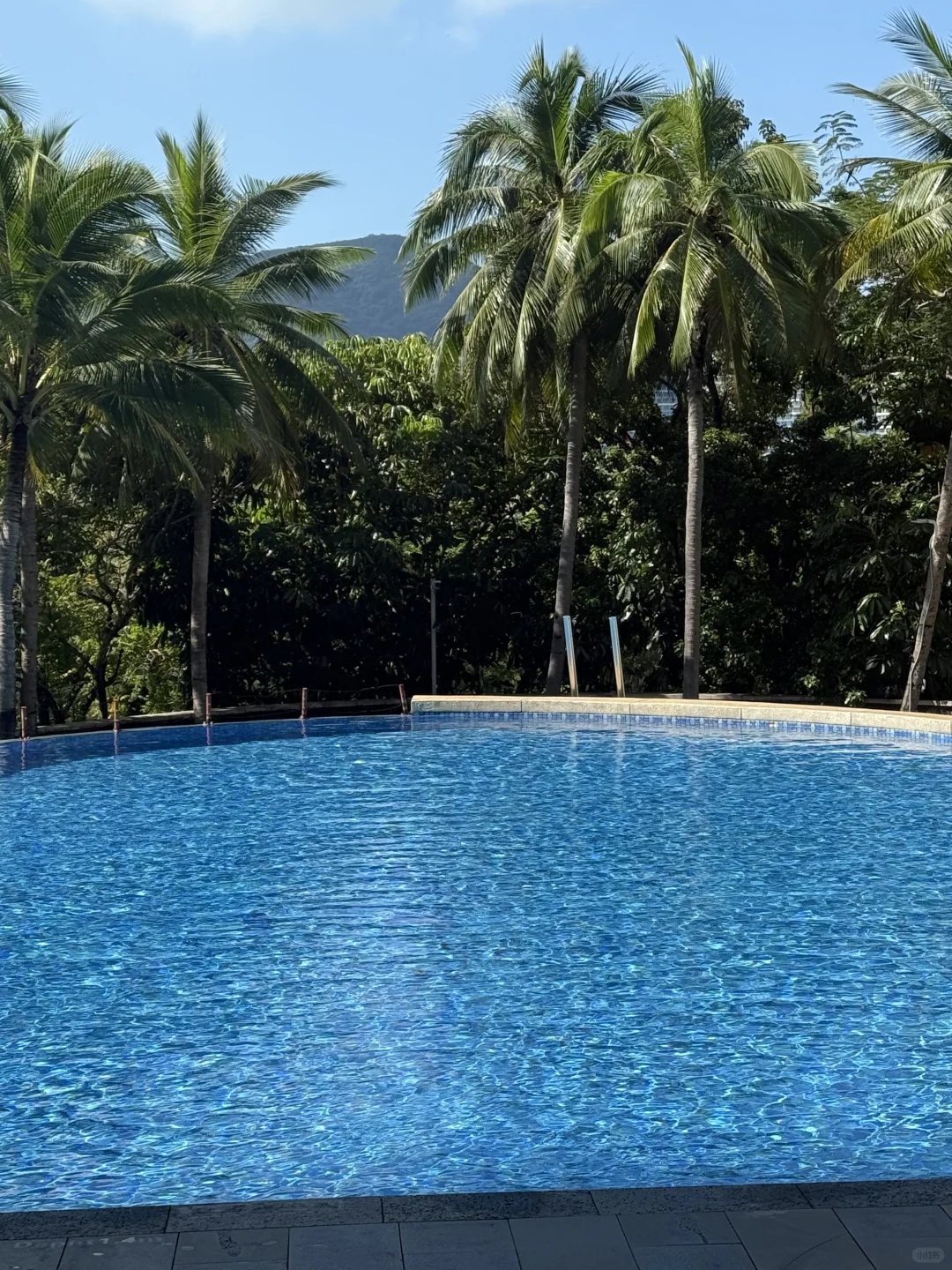 我宣布：搬家海岛咯🏝️