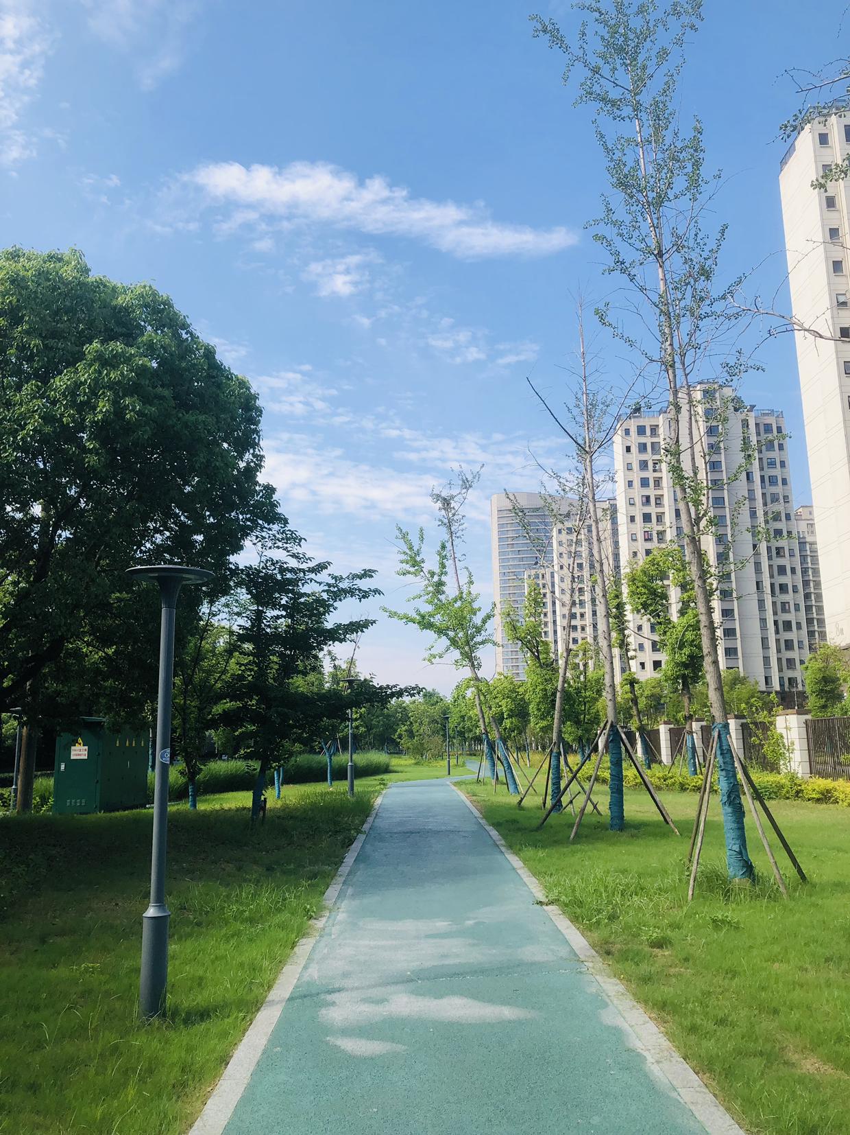 我的今日状态：😁轻松愉快
我这里的天气：☀️晴天
常州今天天气太舒服啦，蓝天白