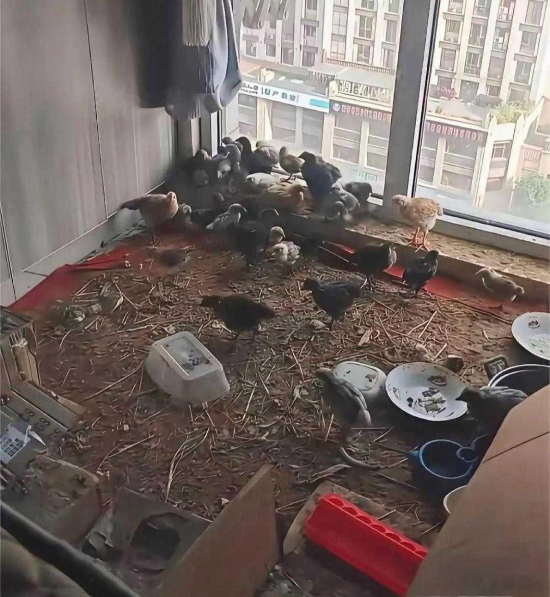 乡下的丈母娘住我家半年，一间小卧室就变成这样了 
