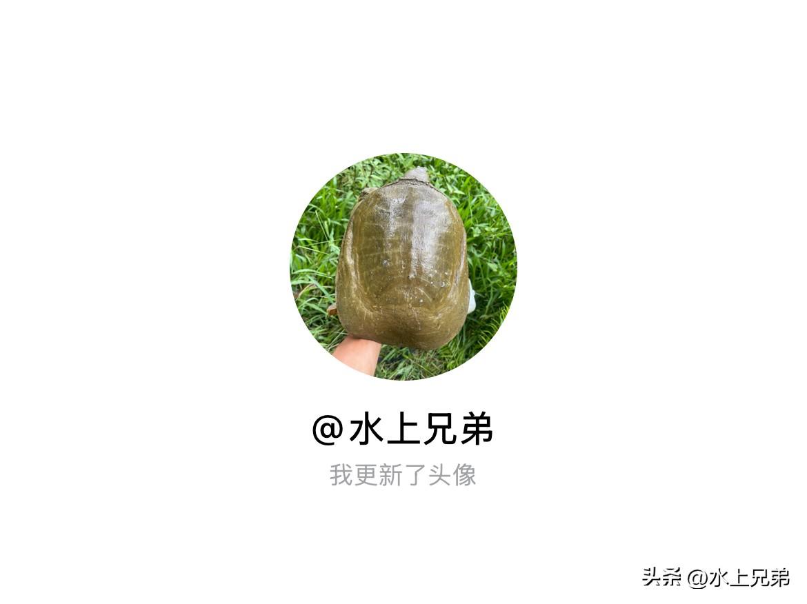 快来看看我新换的头像吧