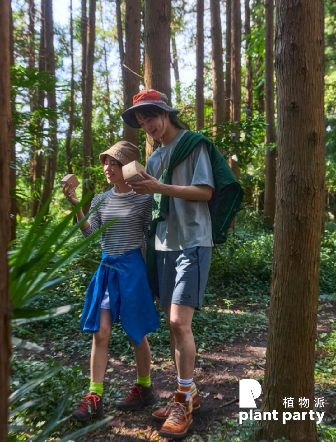 🌿 答案藏在苔藓里