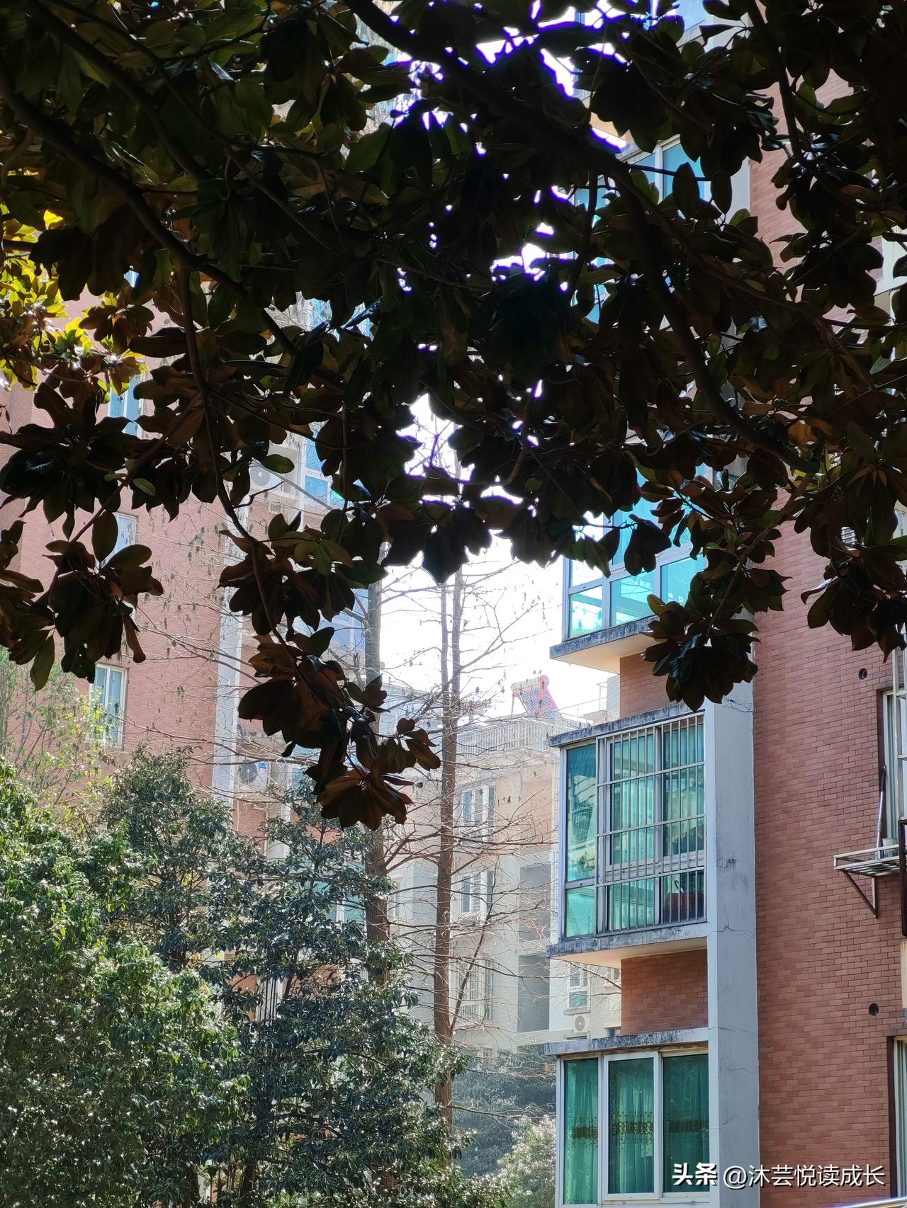 别再发流水账了！微头条没流量的真相，今天终于戳破了。
 
我敢说，90%的人写微