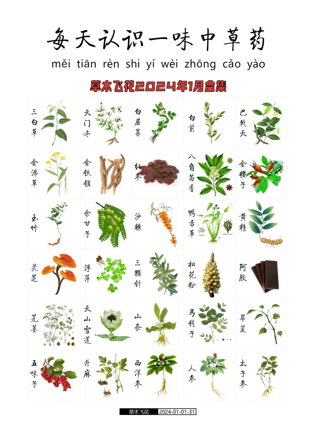 No.373期 每天认识一味中草药1-5月150种☘