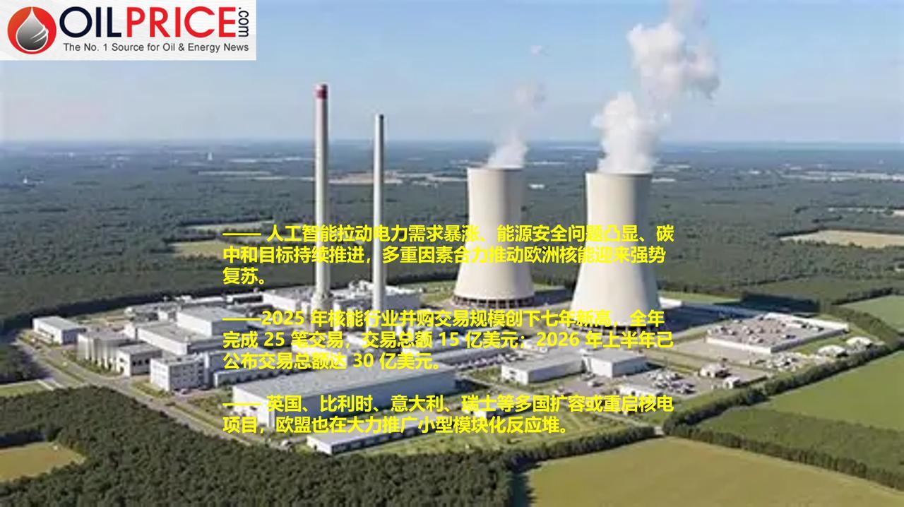 在人工智能热潮之下，欧洲迈入核能黄金时代

受人工智能与数据中心扩张带来的用电量