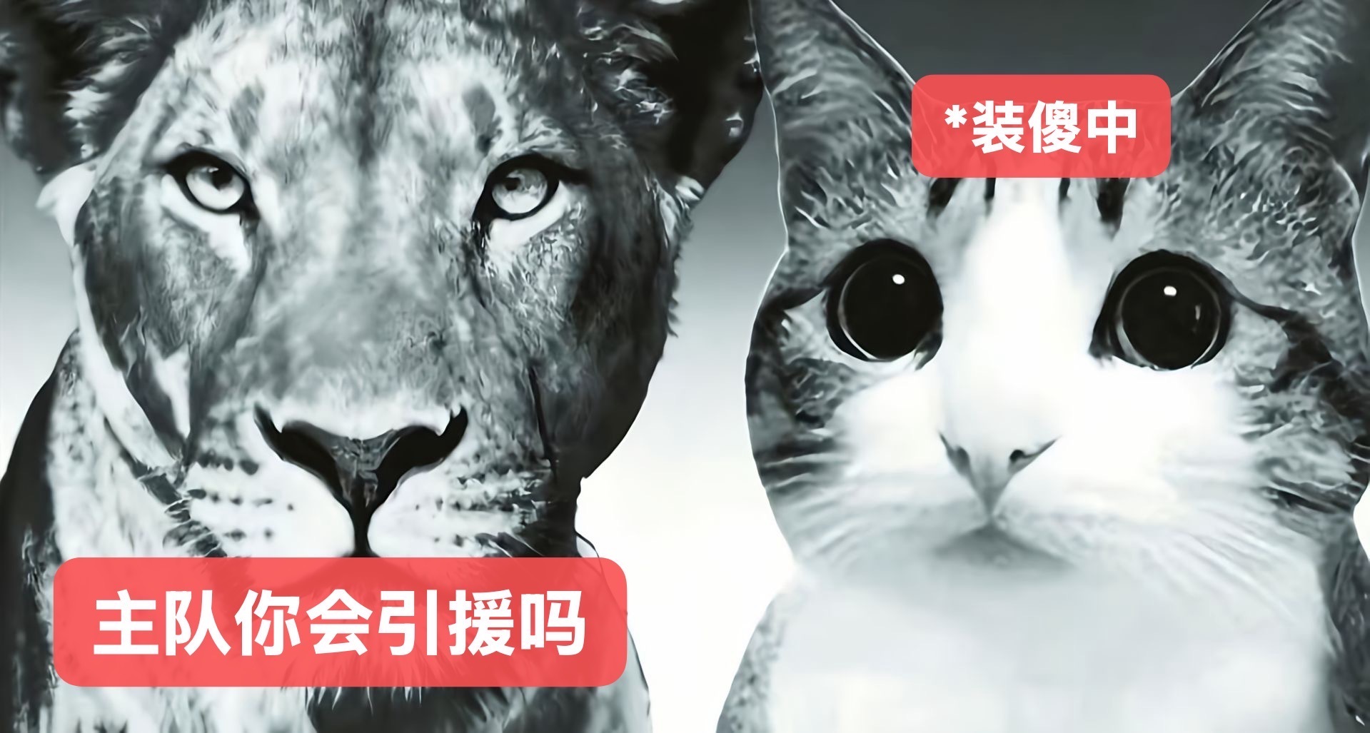 今年夏窗的程度绒乘就这样 