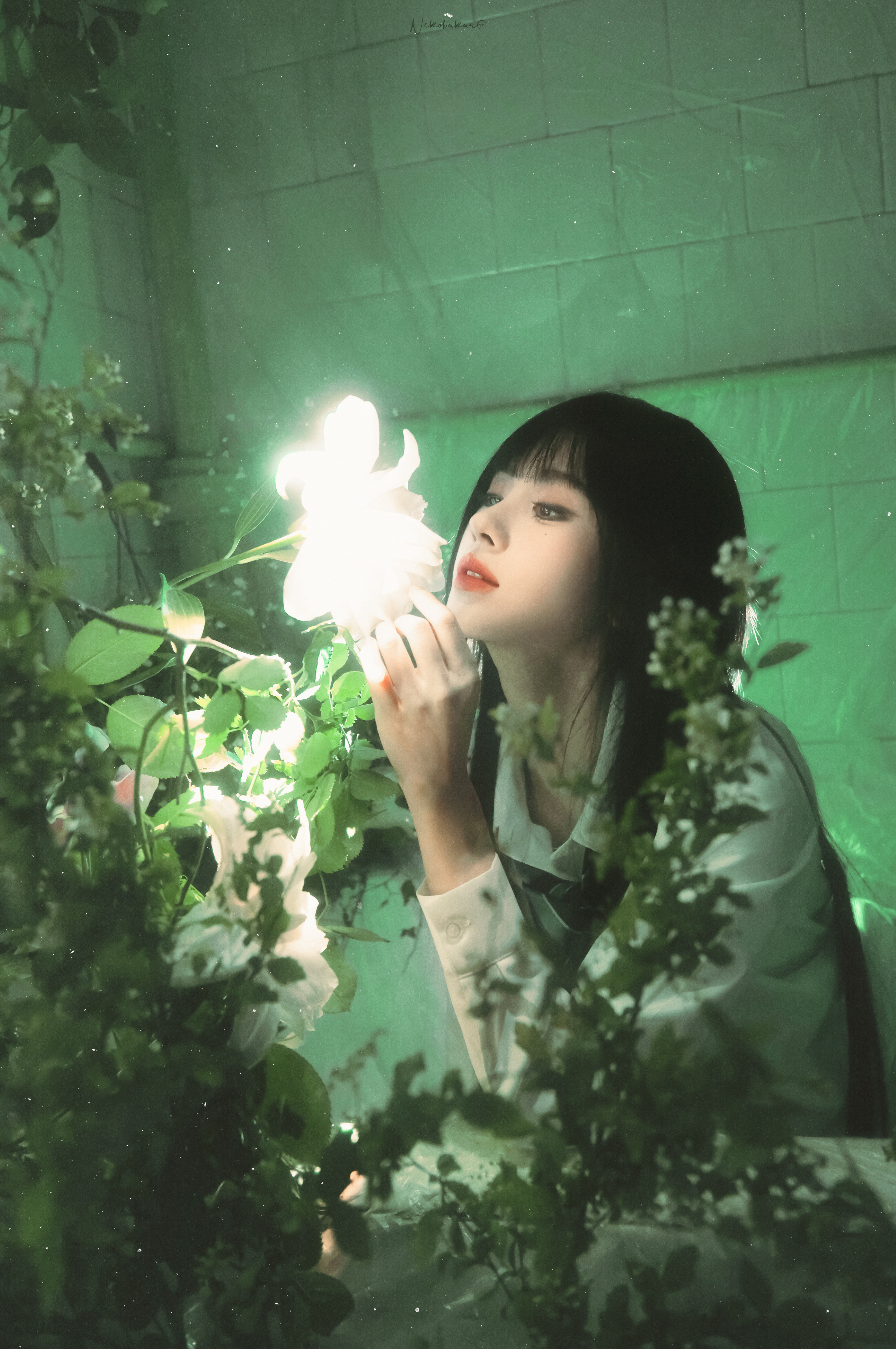 鞠婧祎 ❀ 🪄 ​​​