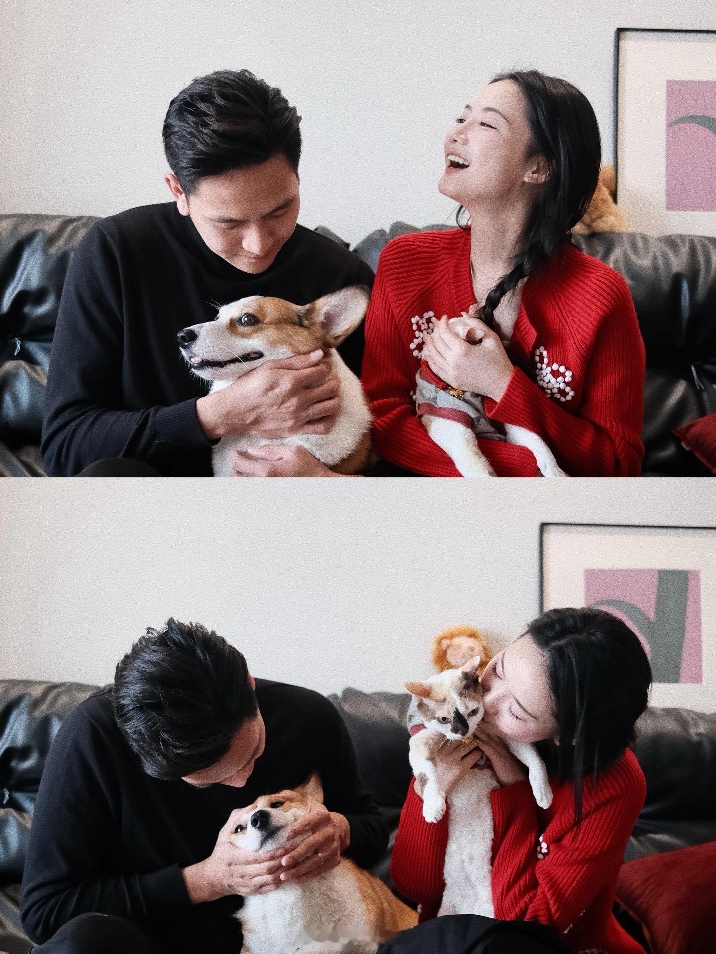 新年全家福哈哈哈哈！👫🐱🐶携一家四口祝大家元旦快乐！🎊🥂（让他俩拍照也