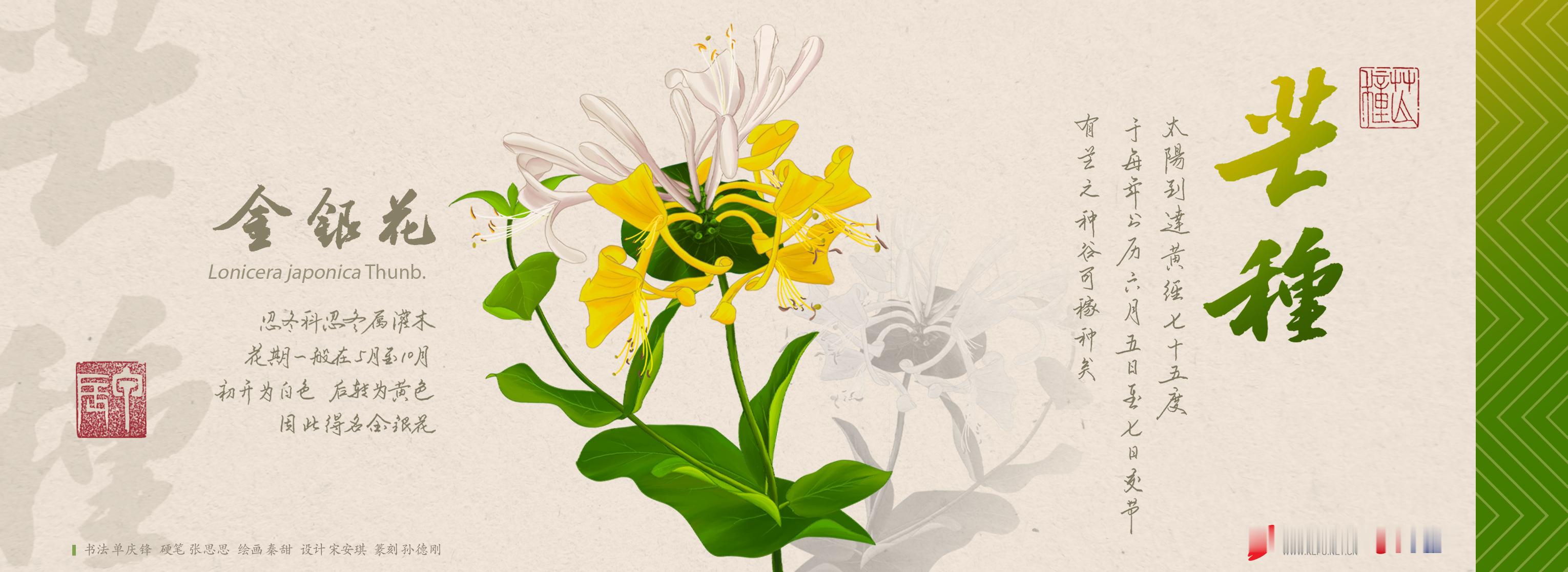 【今日，芒种】当太阳到达黄经75度，夏天的第三个节气——芒种到来。今年芒种的具体