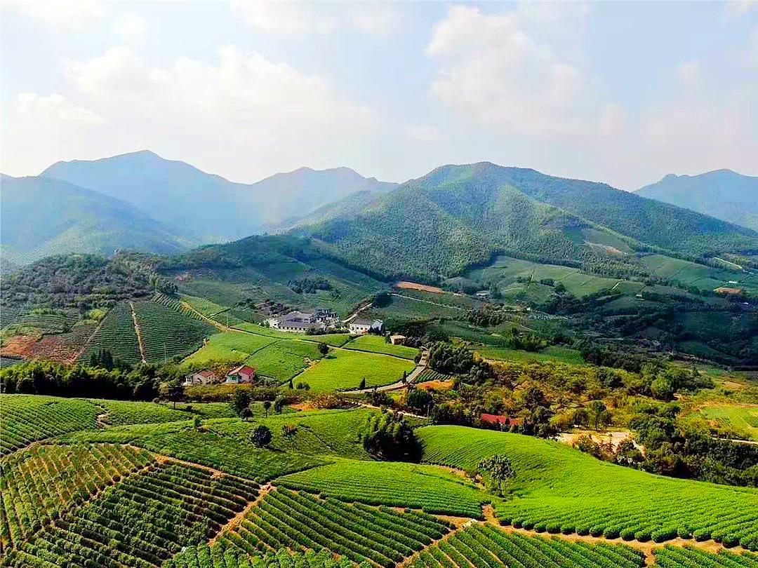 🚗清明踏青正当时，从上海一脚油门直奔江浙皖三省交界处——乾元村包吃住农家乐。传