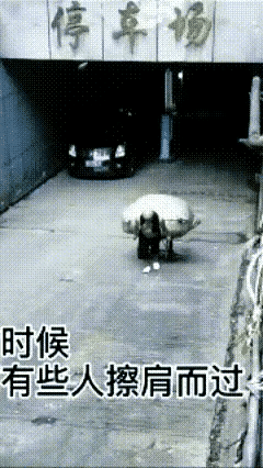 虽说知道这是摆拍，但背后传递的却是劝人向善的初心。行善积德终有福报，这份善意值得