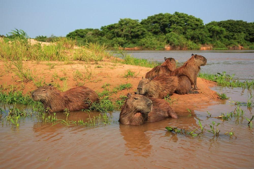 山东素有“齐鲁大地”之称，是中国姓氏文化最重要的发源地之一。据统计，当代中国10