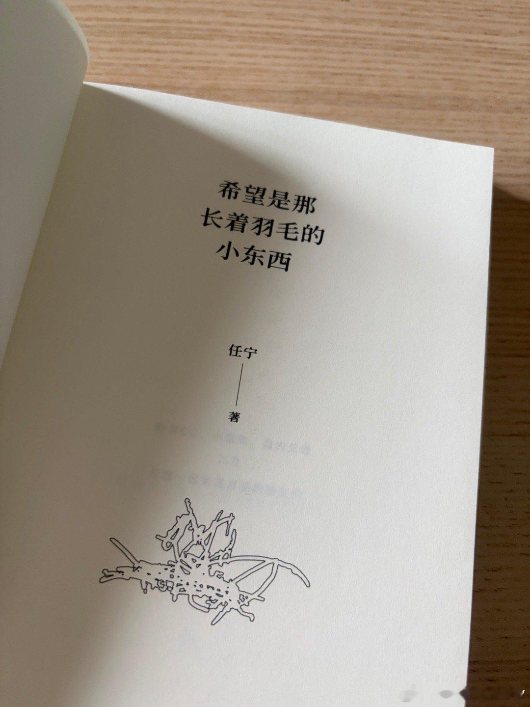 五月新书 任宁《希望是那长着羽毛的小东西》 。轻盈的自然笔记+心情笔记。 上海·