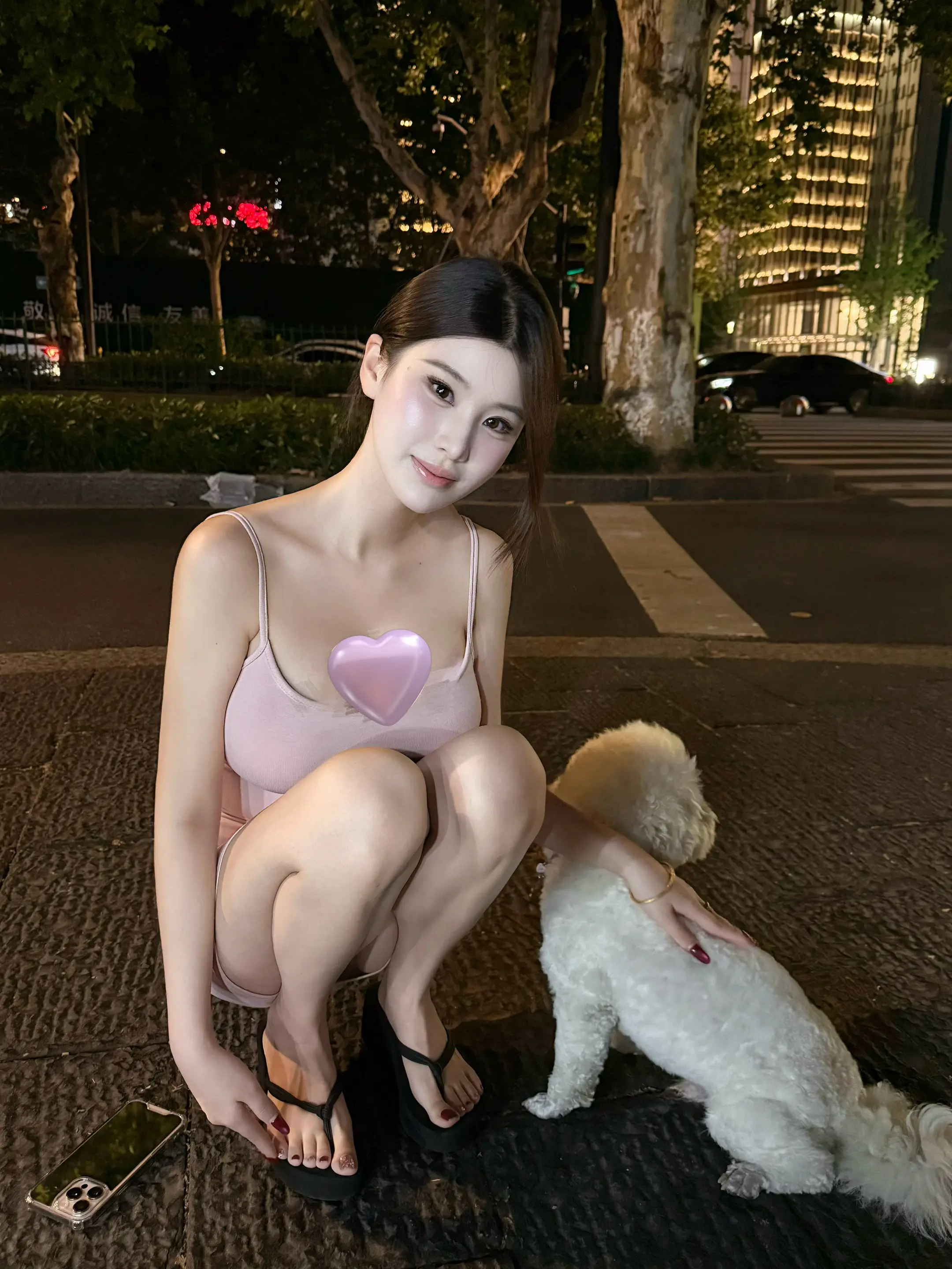 遇到一只乖乖小比熊