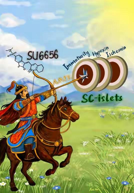 糖尿病什么方法能恢复胰岛功能