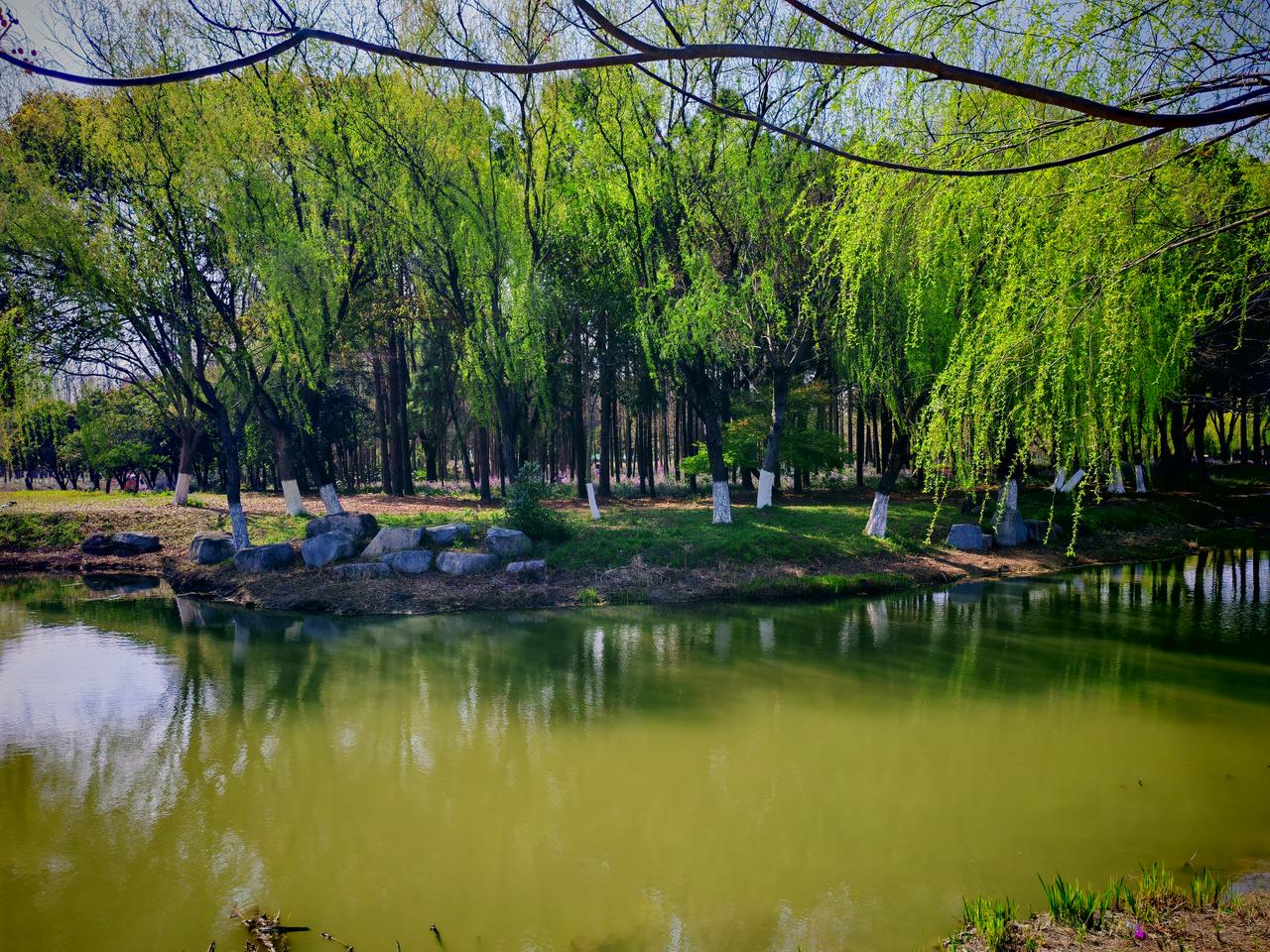 春日生活打卡季