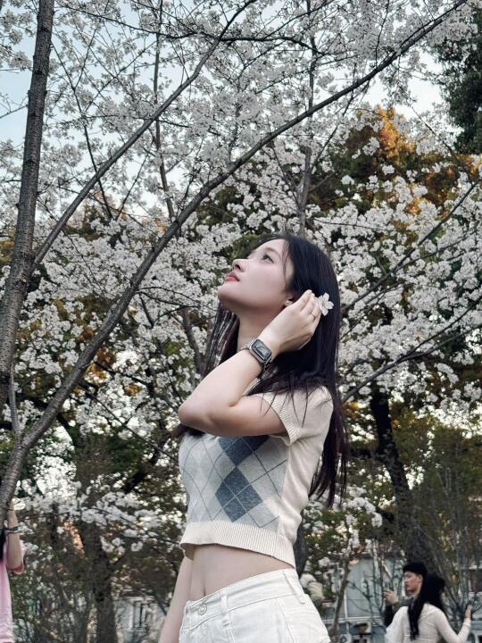 空气是樱花味的🌸
