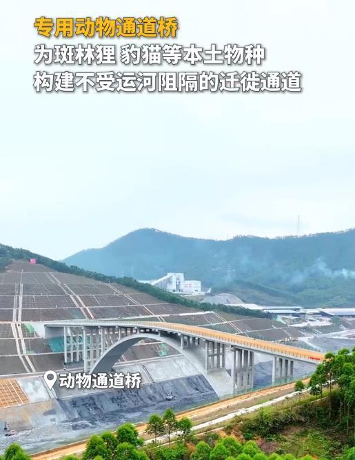 近日，我国为动物迁徙专门建了一座桥，可网络上连个水花都没溅起来。我不服。
这座桥