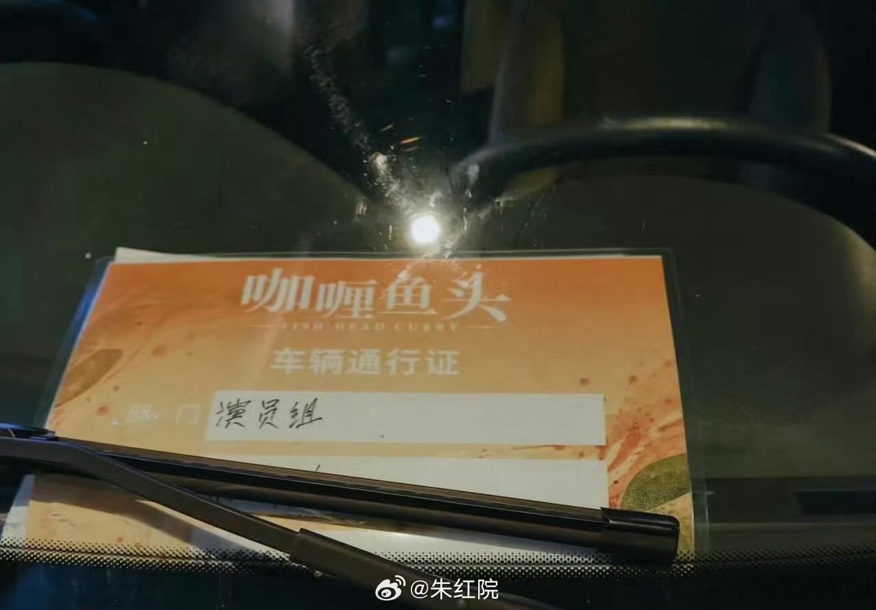 陈哲艺监制剧集《咖喱鱼头》 近日成都开机主演：周雨彤、屈楚萧、尹浩宇导演：姜秀琼