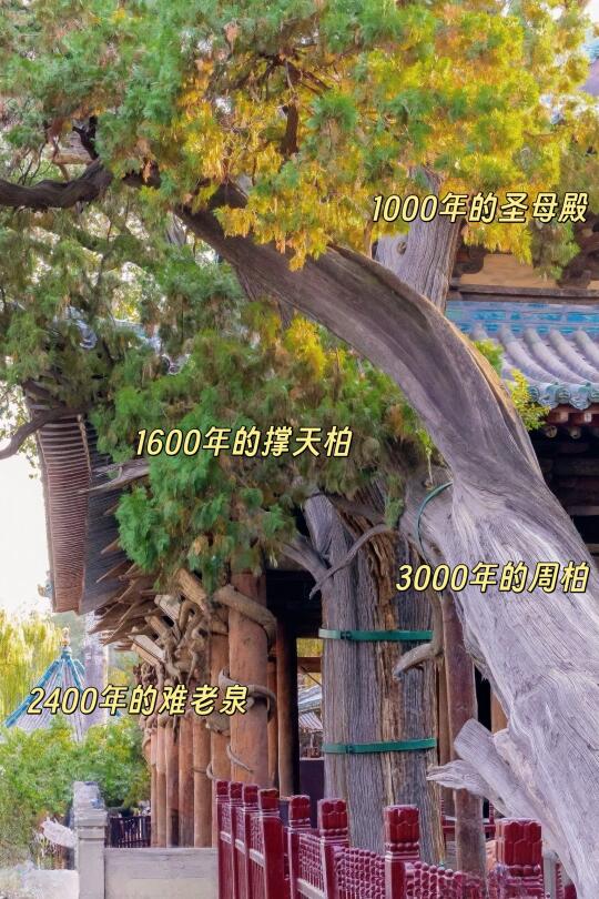 总要来一次山西吧❗️86版《西游记》超全机位📷