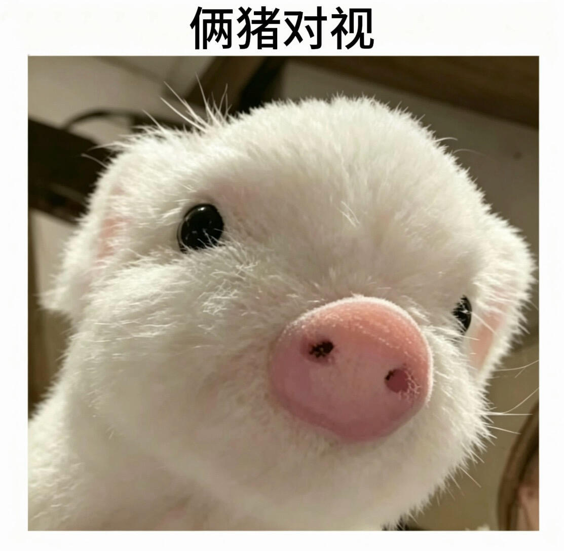 ： 