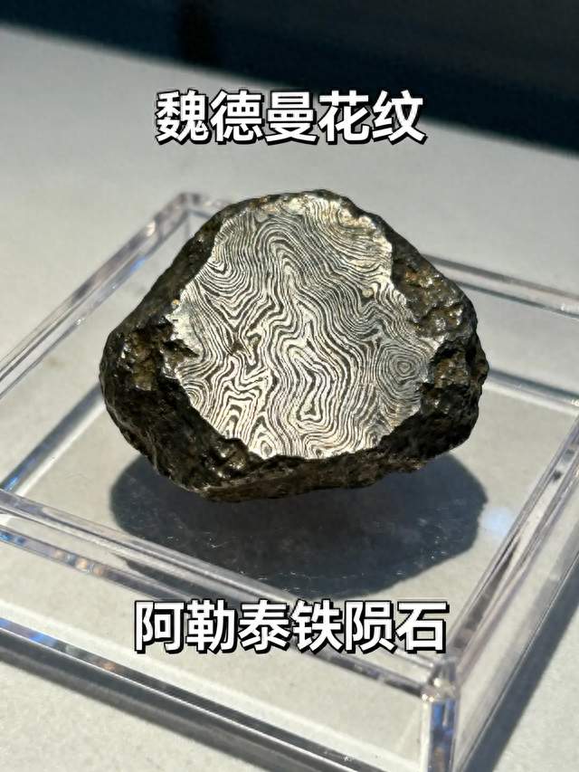 六万八买的陨石一万五贱卖，儿子一句话戳破真相