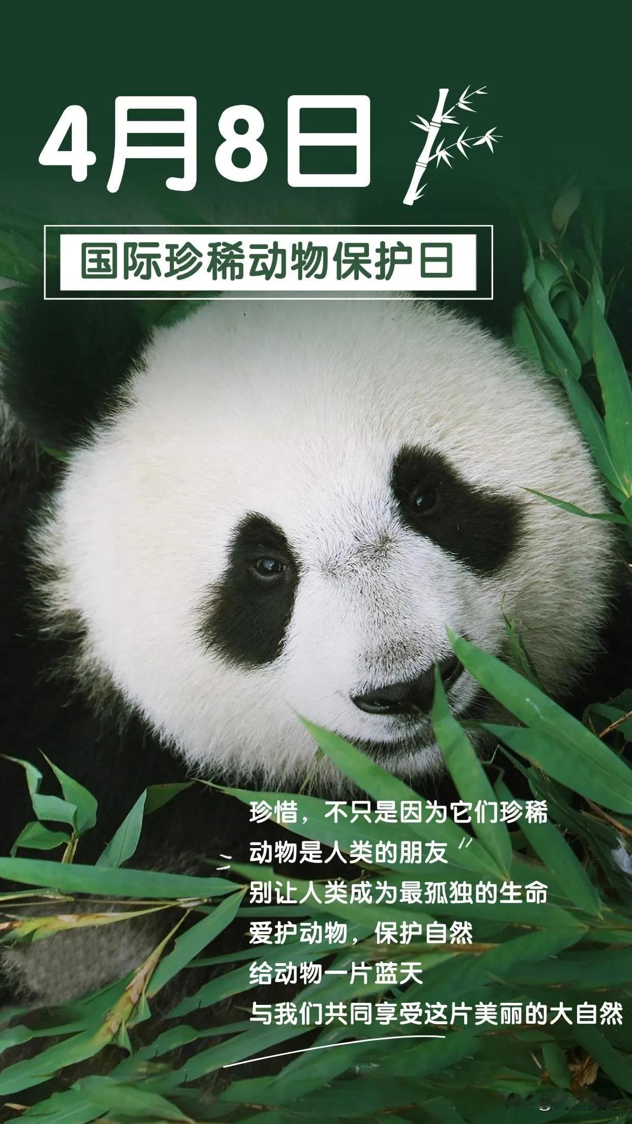 人之所以快乐，在于豁达；人之所以成熟，在于看透；人之所以宽容，在于理解。
生活是