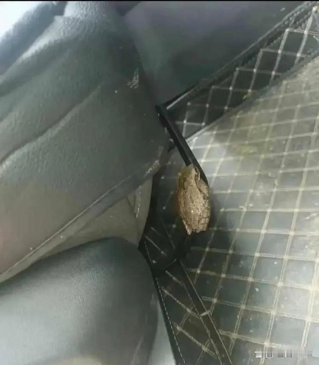 上车发现了这位同志 请问该怎么办呢 