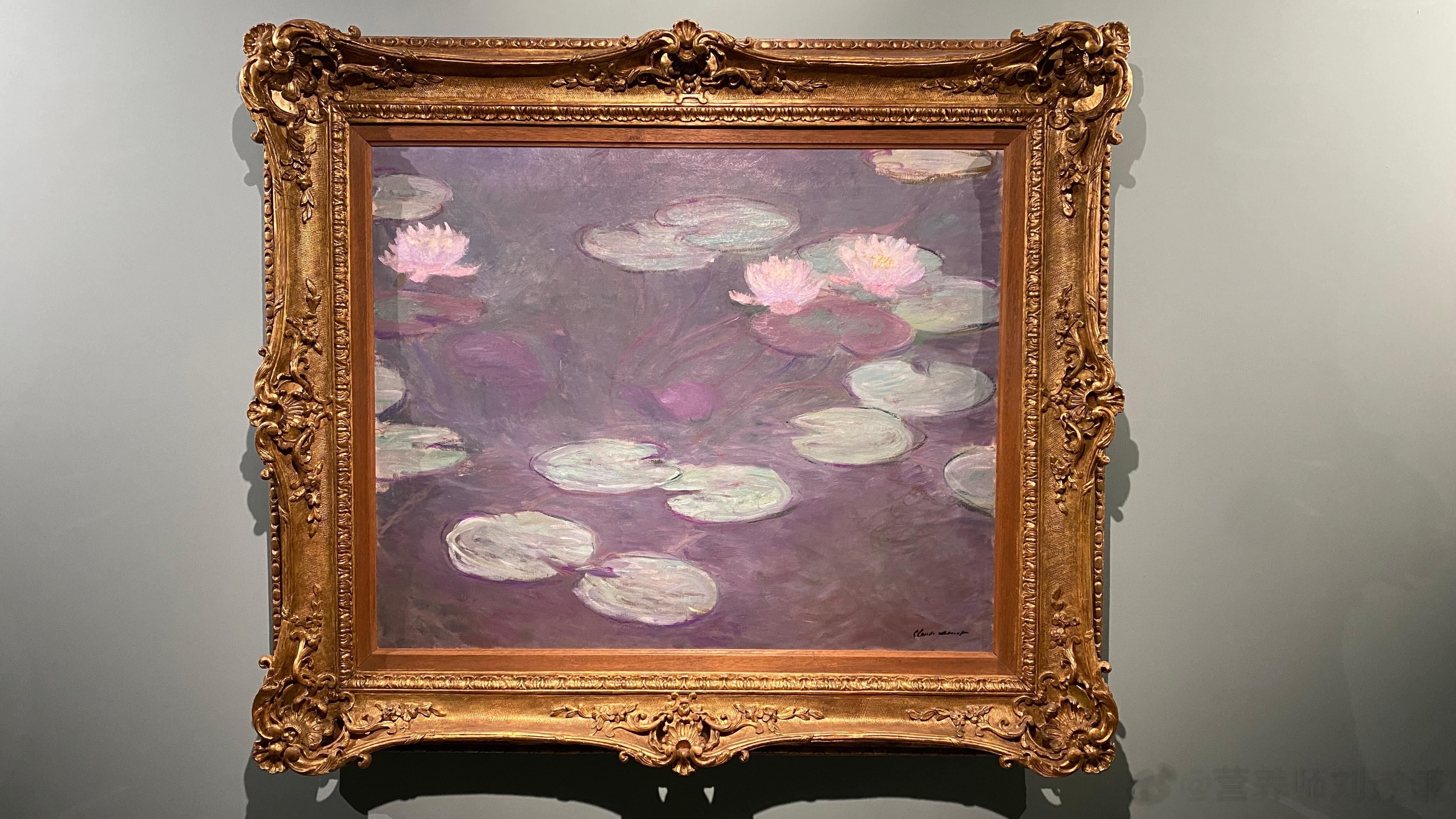 只有当真正站在她面前，才明白她缘何可以迷倒全世界！《粉色睡莲》美到令我窒息眩晕！