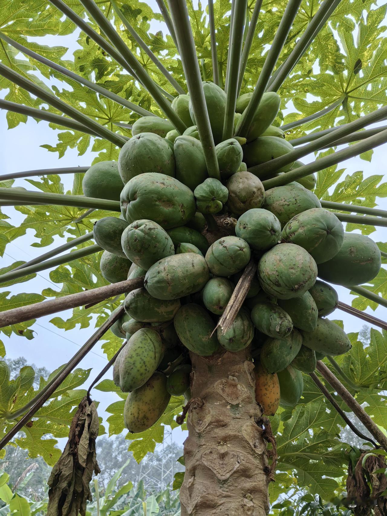 和一个不讲道理的人讲道理有用吗?明明白白的告诉你，没有用。如果他是讲道理的，那他
