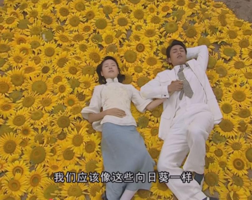 向日葵地，金燕西的这句话，已经预示了他跟冷清秋的婚姻悲剧。

金燕西说想像向日葵